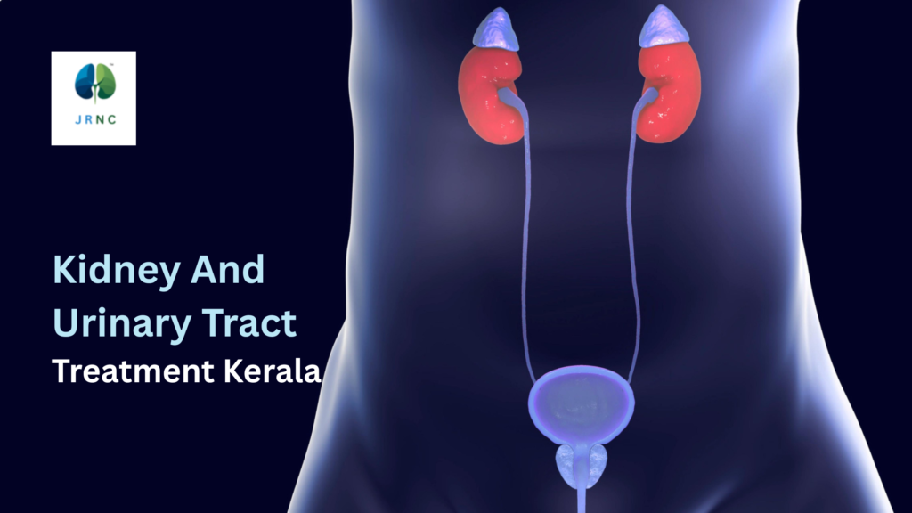 KIDNEY AND URINARY TRACT TREATMENT KERALA
