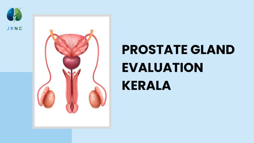 “Prostate gland evaluation Kerala offering gentle, modern assessment for men’s urinary comfort and long-term prostate wellness.”